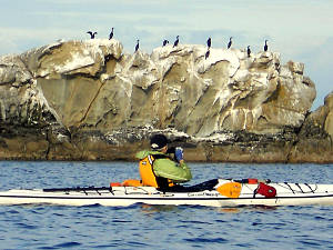 Kayaker and Cormorants